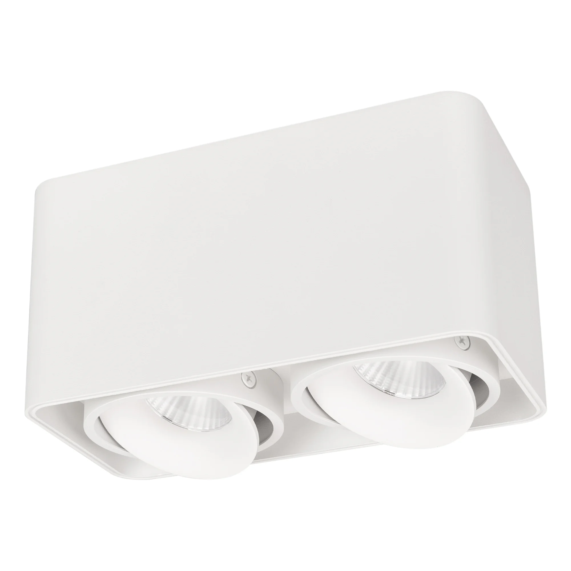 Светильник SP-CUBUS-S195x100-2x8W Day4000 (WH, 45 deg, 230V) 036059 - Накладной интерьерный светильник. Мощность 16 Вт, св. поток 1490 лм, 98 лм/Вт, дневной 4000 K, CRI>90, угол 45°, регулируемое направление луча 30°, напряжение питания 230 В. Белый прямо