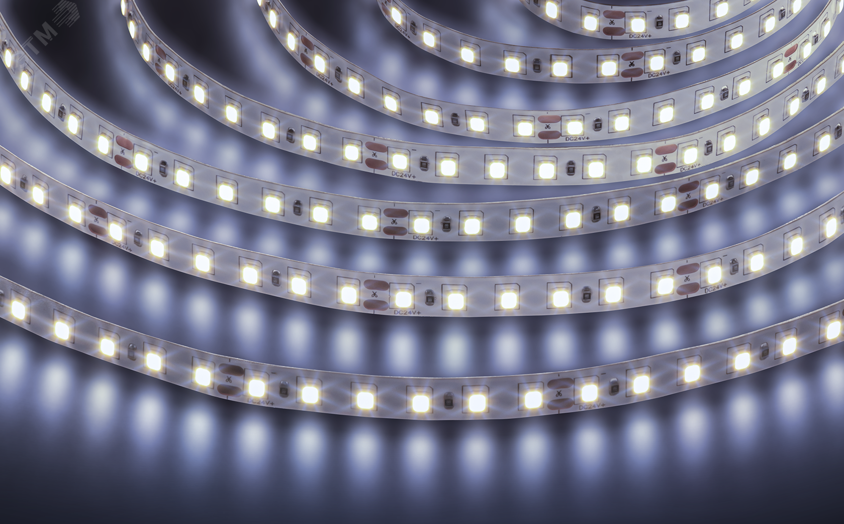 Лента светодиодная NLS-2835CW120-9.6-IP20-24V 5м 34427