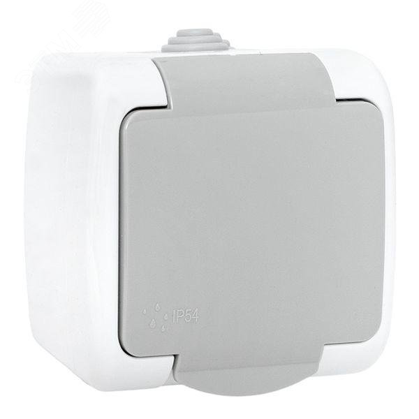 Розетка 1-м ОП Мурманск 16А IP54 с заземл. защ. шторки с крышкой сер. EFR16-029-30-54