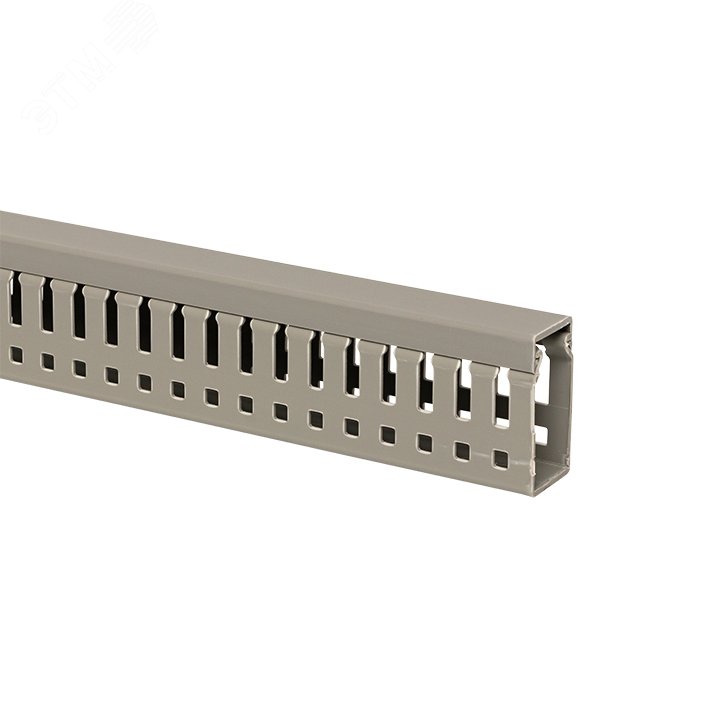 Канал кабельный перфорированный (ВхШ: 40х25мм.) PROxima kk40-25