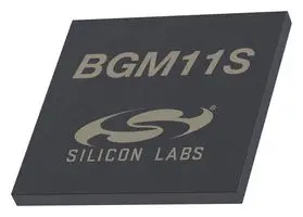 BGM11S12F256GA-V2R