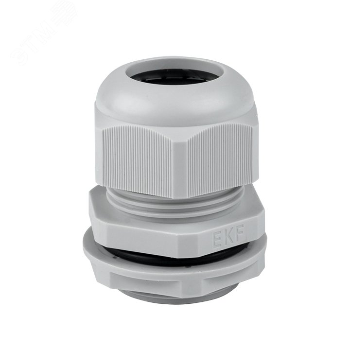 Сальник PG21 IP54 plc-pg-21