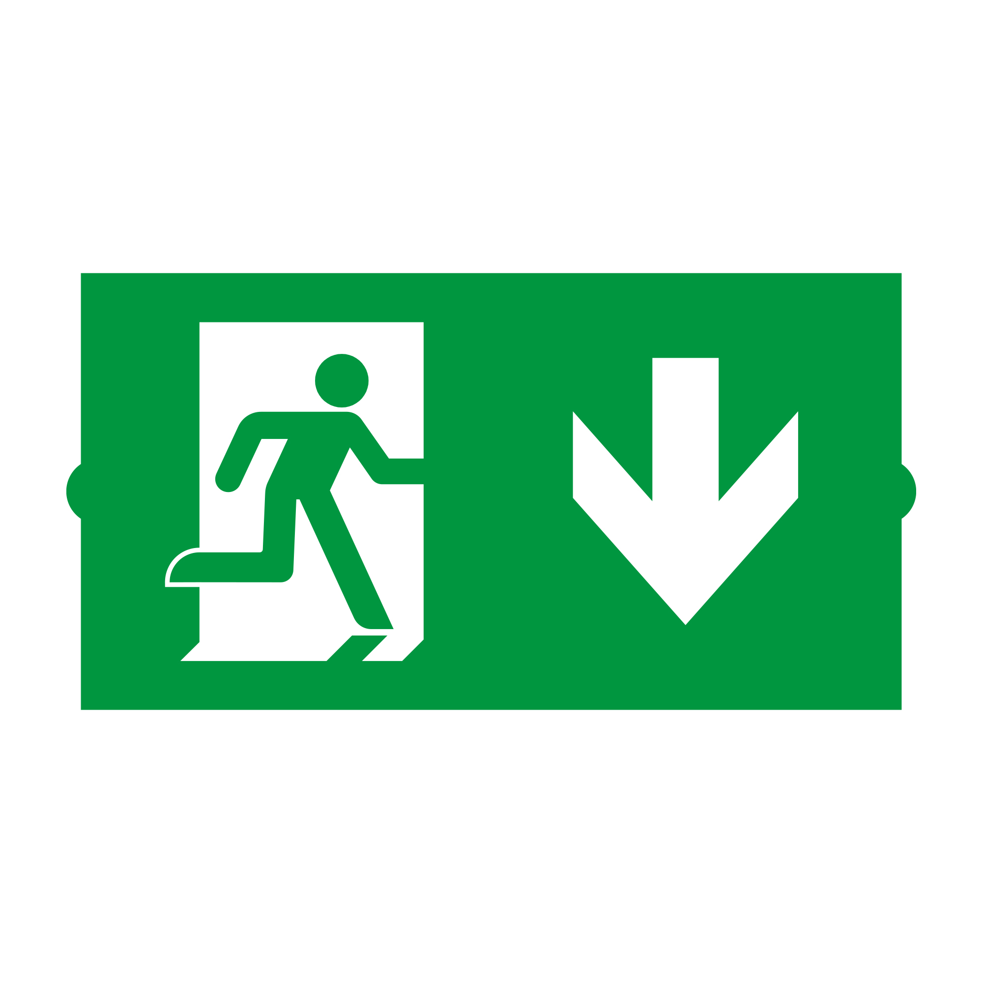 Пиктограмма EMGP-DIRECT-DOWN (Вниз) 046670 - Пиктограмма "Стрелка вниз" для аварийных панелей серии EMG-DIRECT. Нужно 2 пиктограммы для полной комплектации.