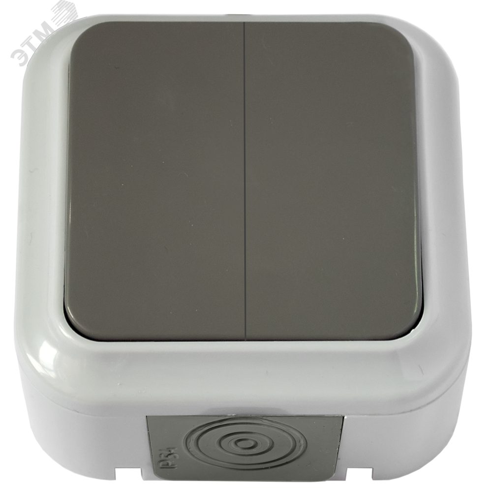 Беларусь Выключатель двухклавишный IP54 наружный А5 6-224 (03) Выключатель А5 6-224(03)