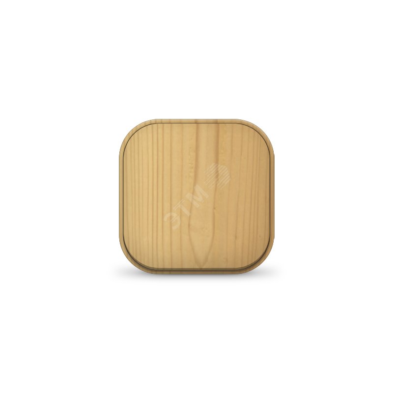 Выключатель одноклавишный серия IONICH, о/у, 10А, 220В, сосна 1434