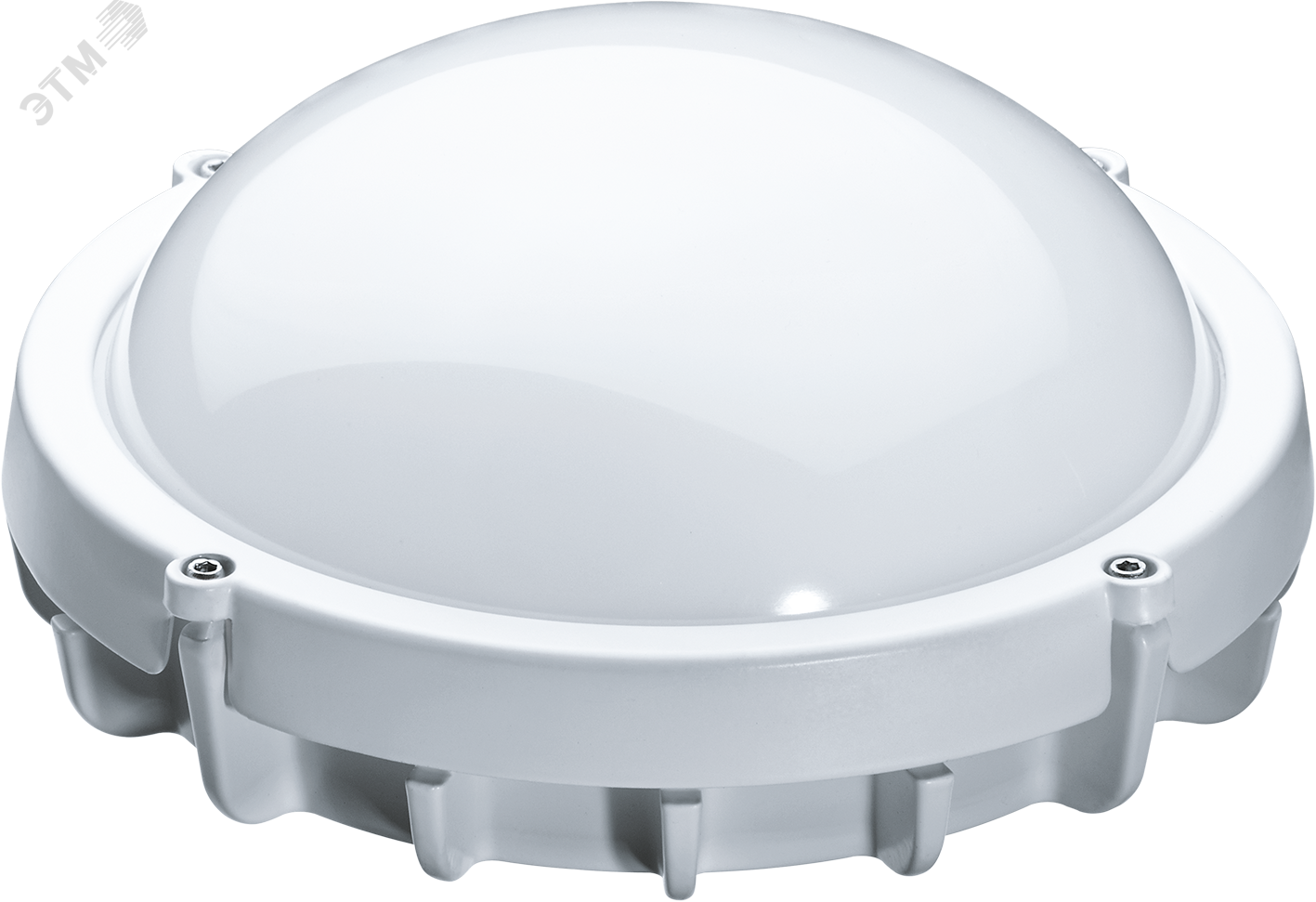 Светильник светодиодный ДБП-12w 4000K 960Лм круглый металлический IP65 белый 18215