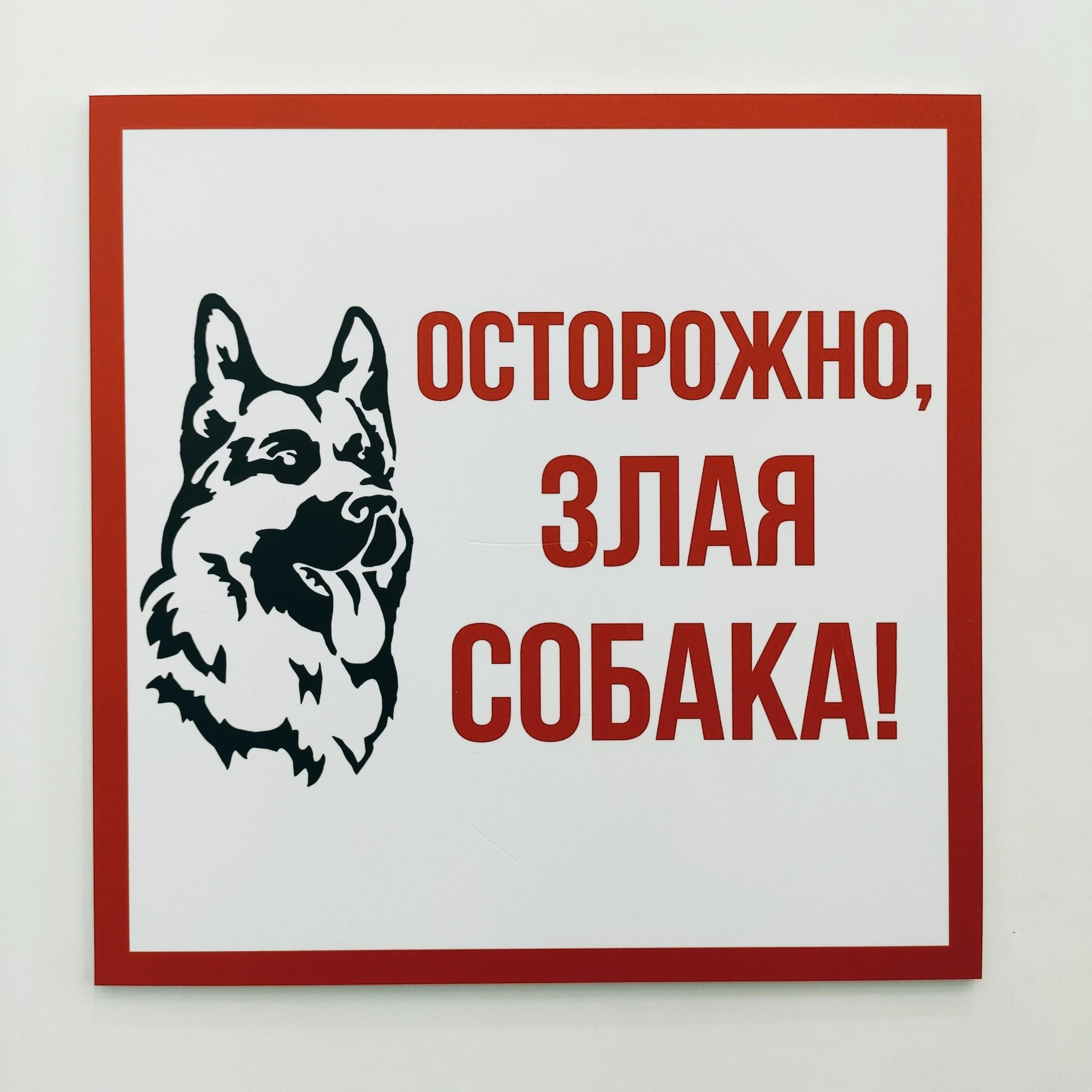 Табличка информационный знак Злая собака 200х200 мм,