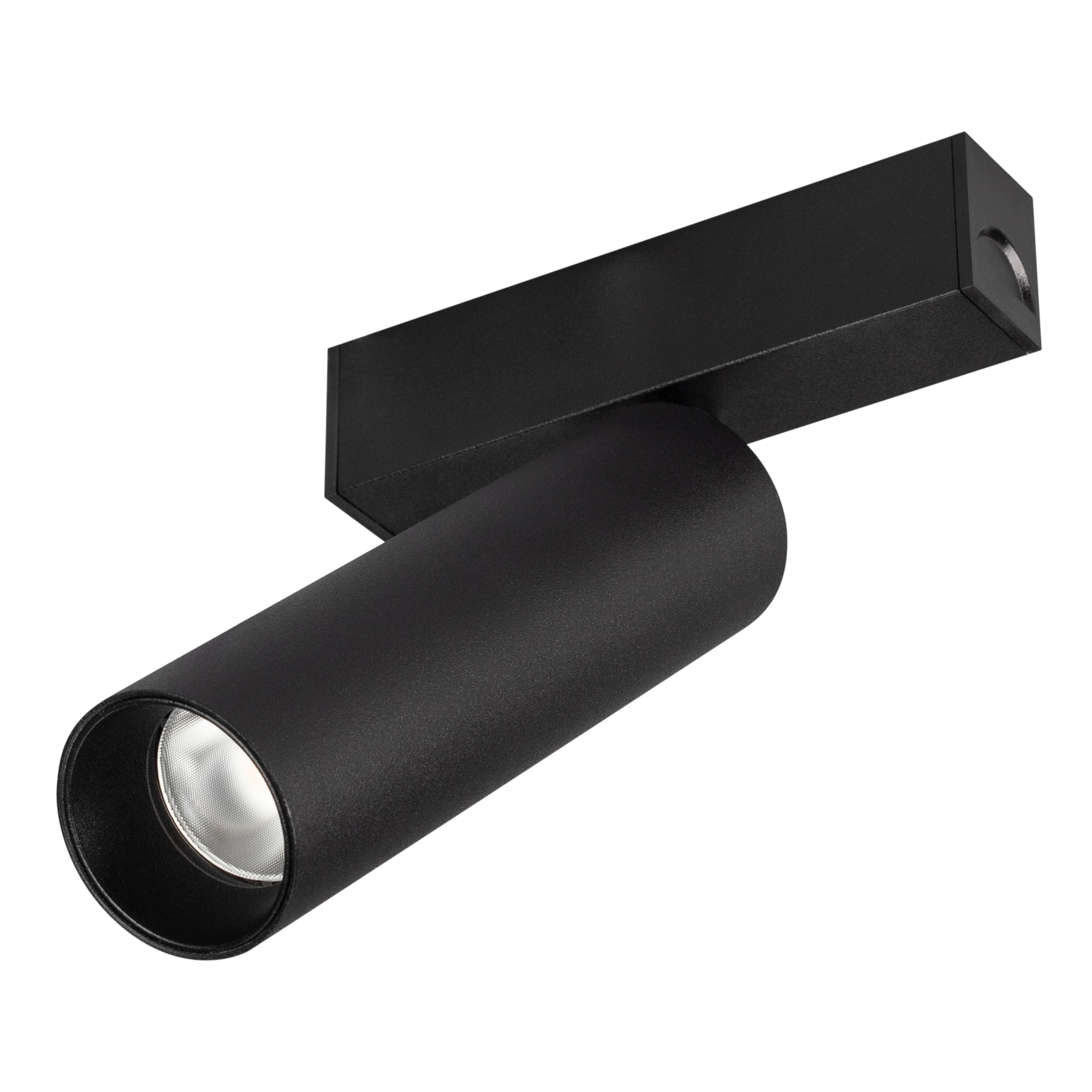 Светильник MAG-SPOT-25-R120-12W Day4000 (BK, 30 deg, 24V, DALI) 046320 - Светильник поворотный для магнитных треков шириной 25 мм с управлением DALI, мощность 12 Вт. Цвет свечения ДНЕВНОЙ 4000K, световой поток 990 лм, угол 30°, CRI>90. Корпус прямоугольны