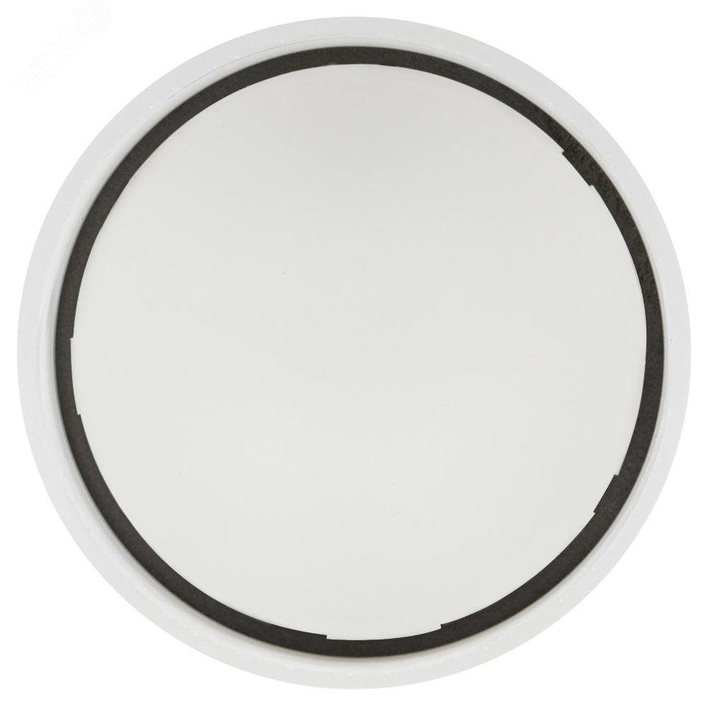 Светильник настенно-потолочный спот OL30 WH GX53 белый Б0056359