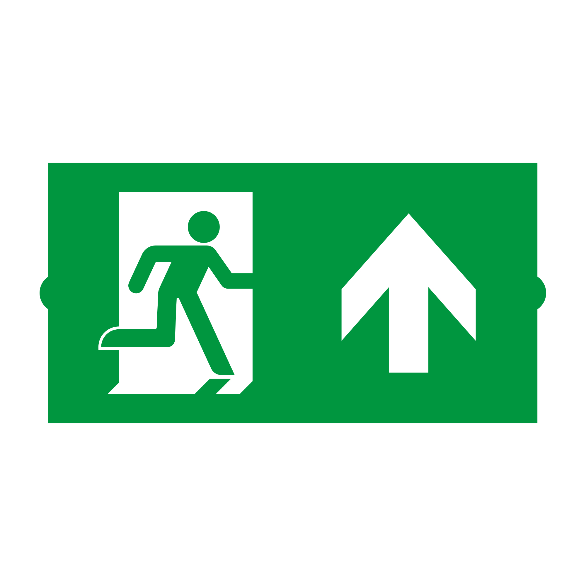 Пиктограмма EMGP-DIRECT-UP (Вверх) 046669 - Пиктограмма "Стрелка вверх" для аварийных панелей серии EMG-DIRECT.  Нужно 2 пиктограммы для полной комплектации.