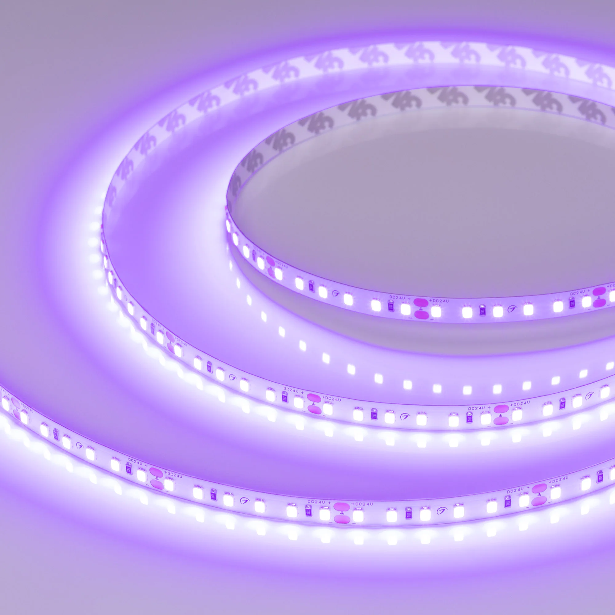 Лента RT-A120-8mm 24V Violet (9.6 W/m, IP20, 2835, 5m) 043384 - Светодиодная лента RT-A120, открытая. Светодиоды 2835, 120 шт/м (600 шт на 5 м), белая плата, ширина 8 мм, скотч 3M. Цвет ФИОЛЕТОВЫЙ, угол 120°. Питание 24V, мощность 9.6 Вт/м (48 Вт на 5 м).