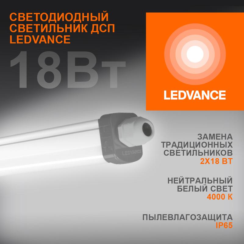 Светильник светодиодный ДСП-18Вт 4000K 1890лм IP65 0.6м ECO CLASS серый 4058075622562