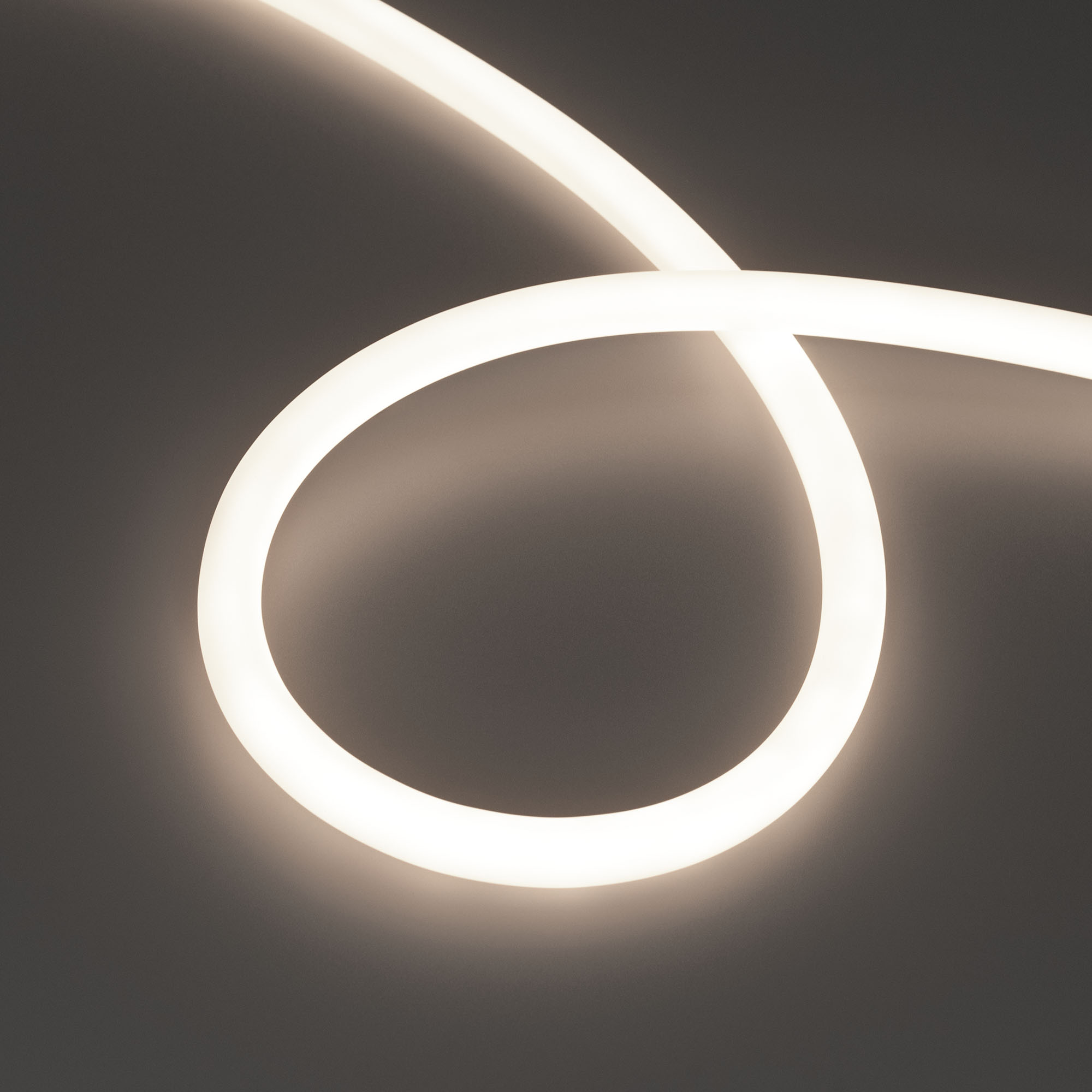 Лента герметичная MOONLIGHT-TOP-S-M560-D13mm 24V Day4300 (13 W/m, IP65, 5m, wire x1, трос) 043817 - Гибкая герметичная лента (неон серии MOONLIGHT), сечение 13х13 мм с тросом-натяжителем. Светодиоды SMD2216 560 шт/м. Цвет свечения ДНЕВНОЙ (4300 К), индекс