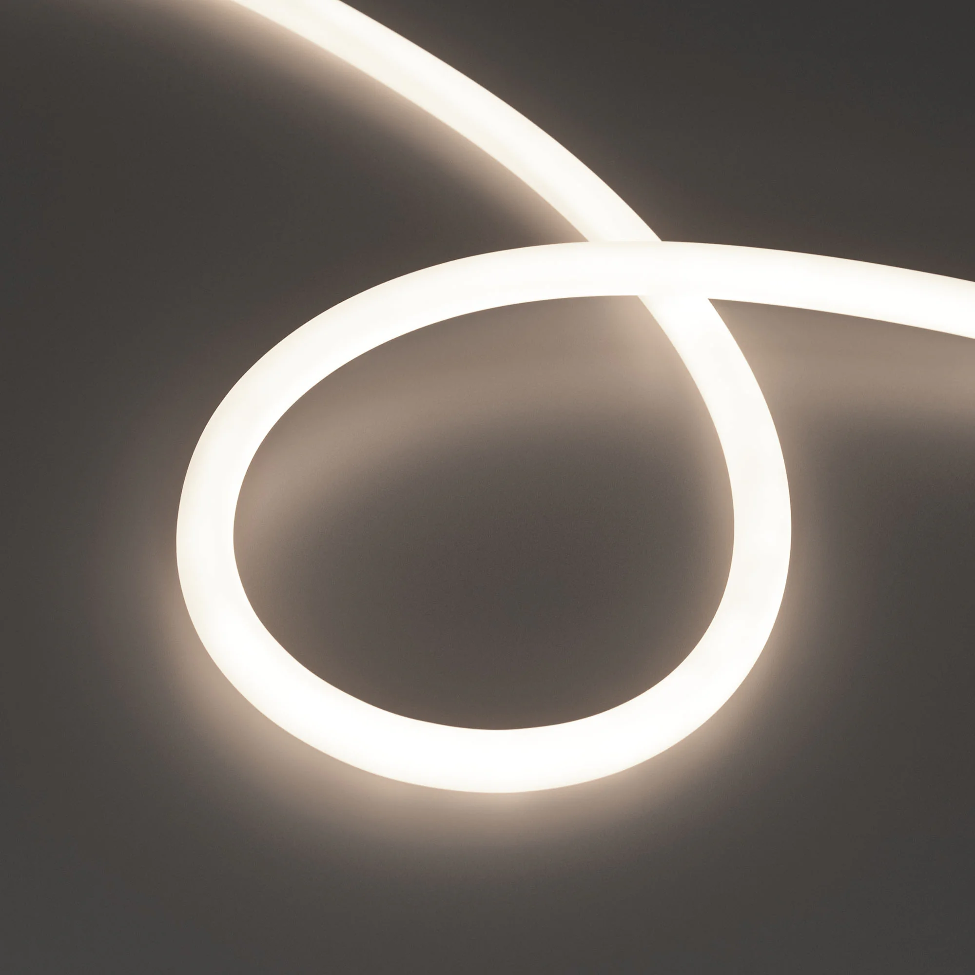 Лента герметичная MOONLIGHT-TOP-S-M560-D13mm 24V Day4300 (13 W/m, IP65, 5m, wire x1, трос) 043817 - Гибкая герметичная лента (неон серии MOONLIGHT), сечение 13х13 мм с тросом-натяжителем. Светодиоды SMD2216 560 шт/м. Цвет свечения ДНЕВНОЙ (4300 К), индекс