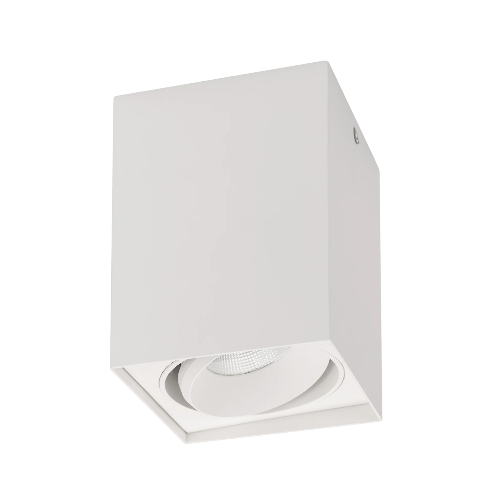 Светильник SP-CUBUS-S100x100WH-11W Day White 40deg 023078(1) - Накладной светильник 11Вт, белый квадратный корпус. Цвет ДНЕВНОЙ БЕЛЫЙ 4000K, св.поток 850лм, CRI(Ra)>80, угол 40°, регулируемое направление луча 30°. Размер 100x100x135 мм. Питание AC 220-240