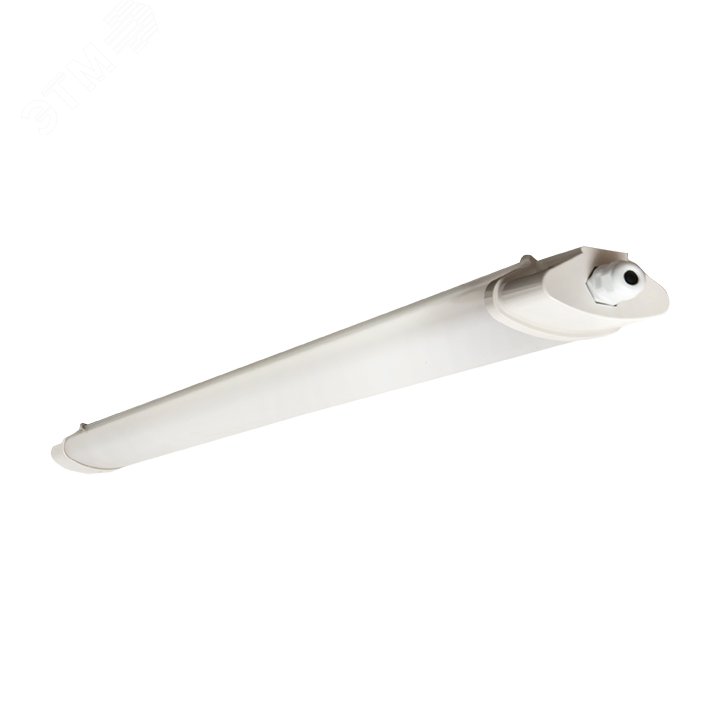 Светильник светодиодный ДСП-1005-L 36Вт 4000К IP65 1200мм пылевлагозащ. PROxima TPL-1005-36-4000-L