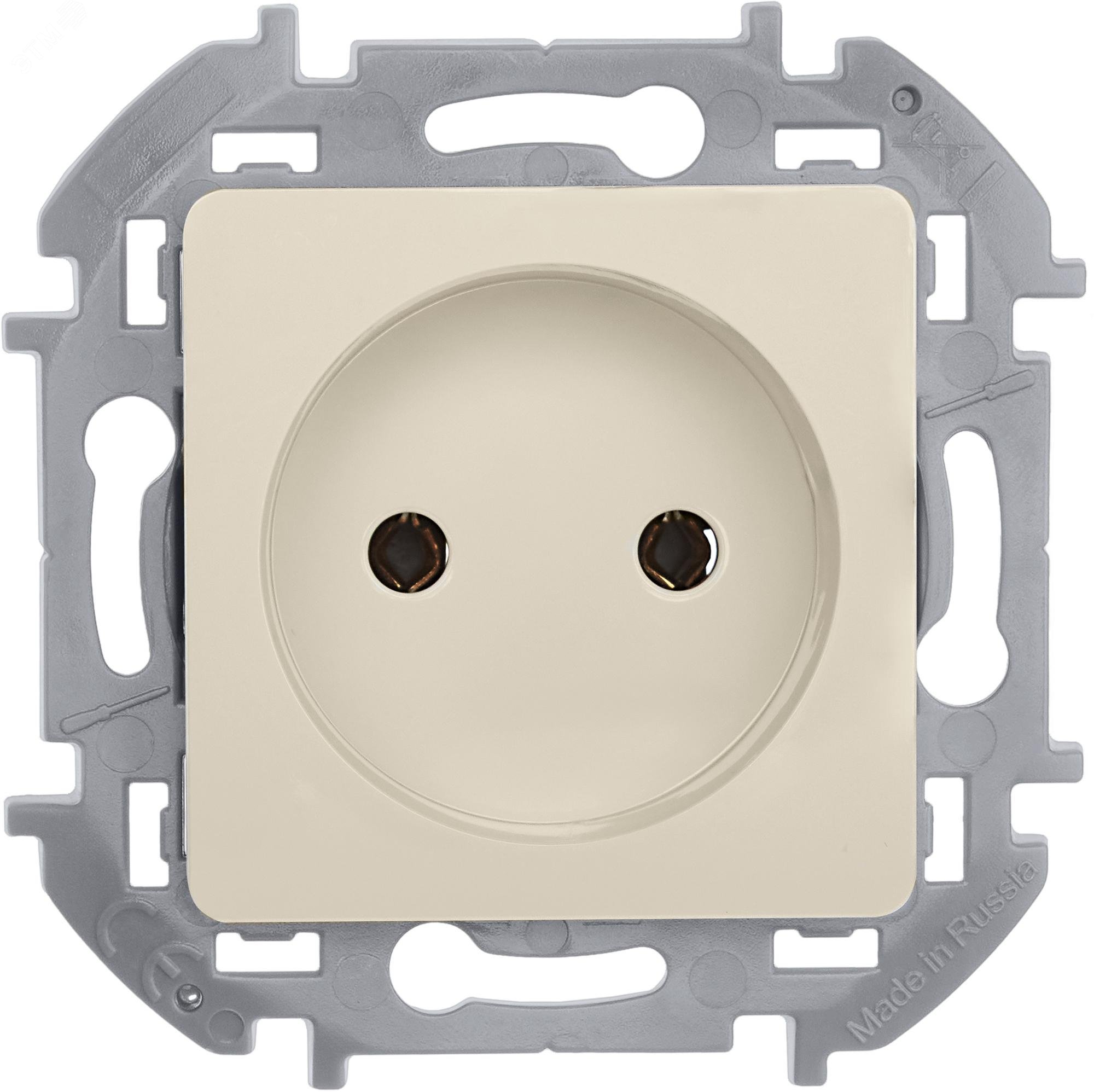Розетка 1-м СП Inspiria 16А IP20 250В 2P механизм сл. кость Leg 673711