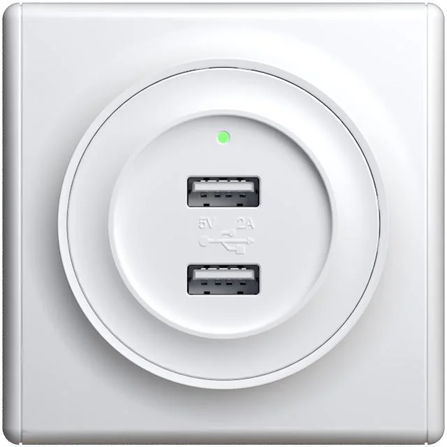 Розетка USB 2-м СП Florence 16А IP20 с подсветкой механизм бел. (1E10351300) 2260089