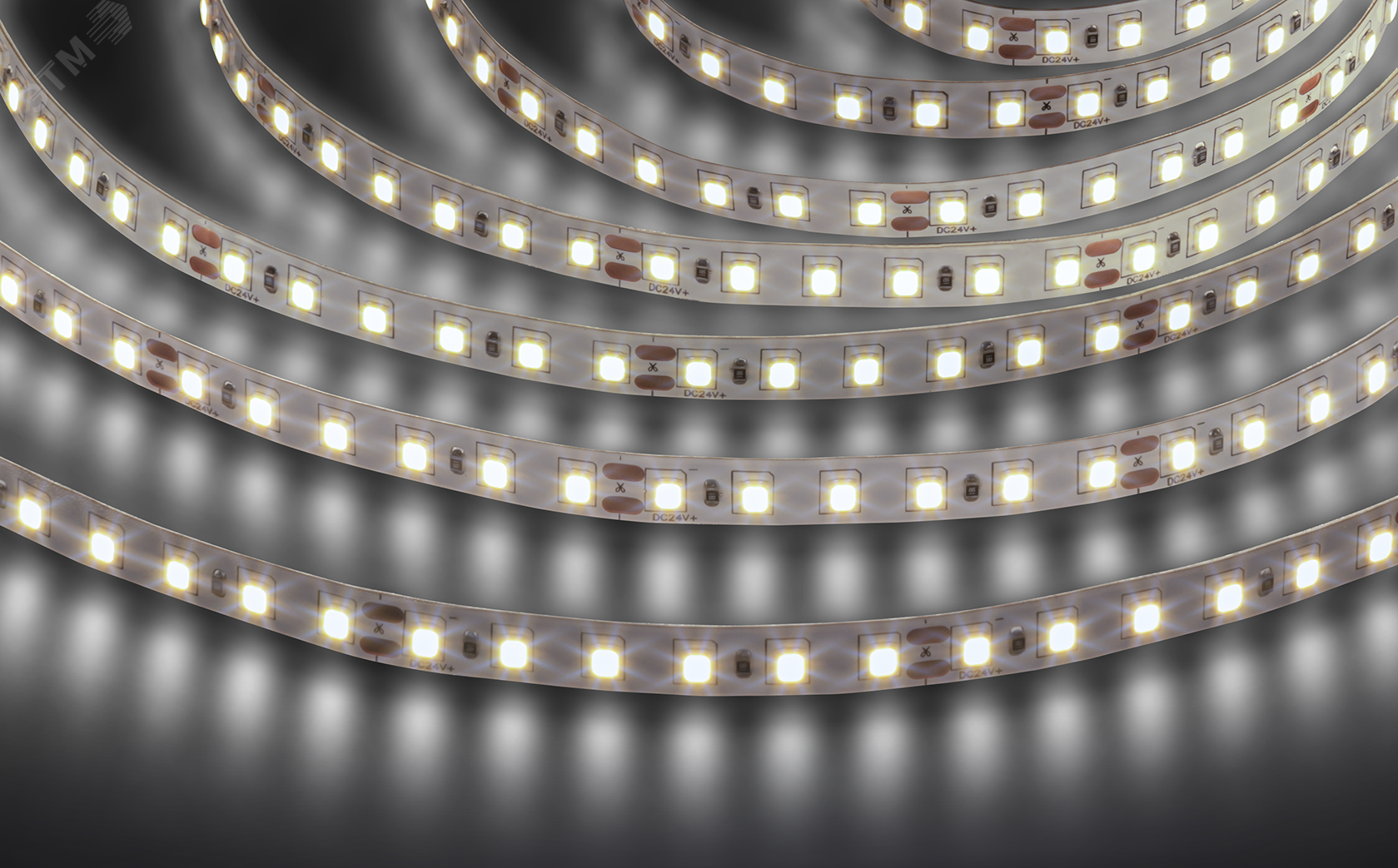 Лента светодиодная NLS-2835W120-9.6-IP20-24V 5м 34429
