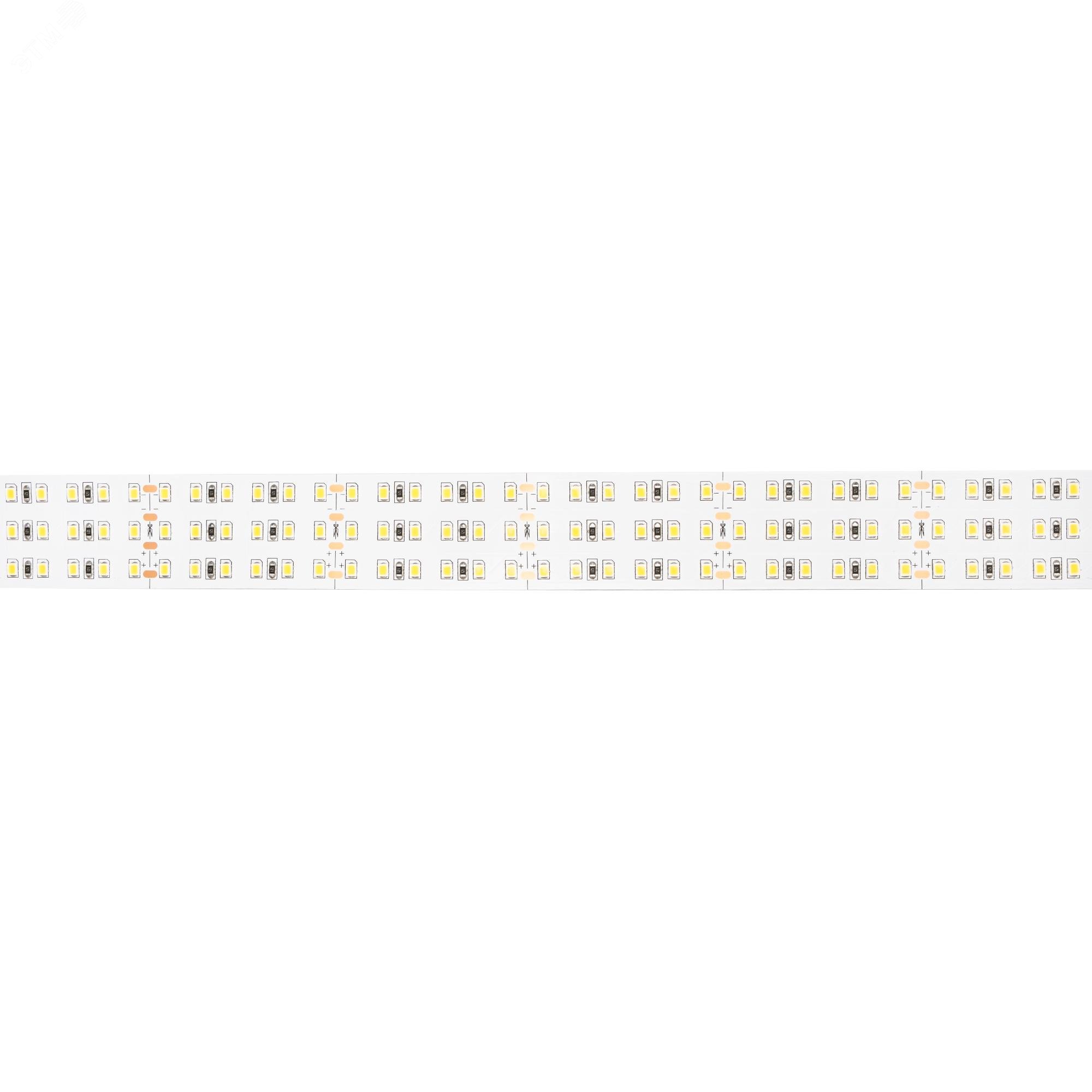 Лента светодиодная PLS PRO 2835/360-24V-30mm 4000К IP20 (уп.5м) Pro+ JazzWay 5052390