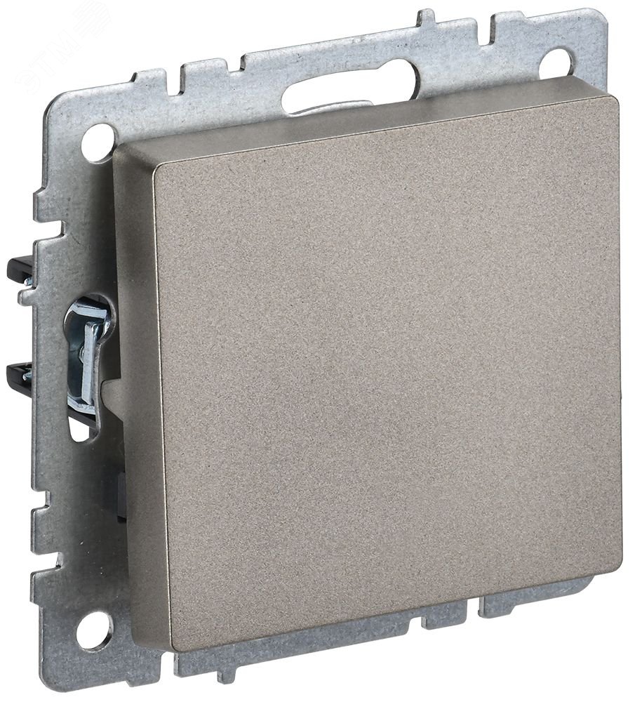 Выключатель 1-кл. СП BRITE ВС10-1-0-БрШ 10А шампань BR-V10-0-10-K37