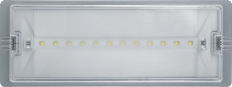 Светильник светодиодный 95 290 NEF-19 6Вт IP65 100лм 220-240В аккум. LiFePO4 600mAh аварийно-эвакуационный Navigator 95290