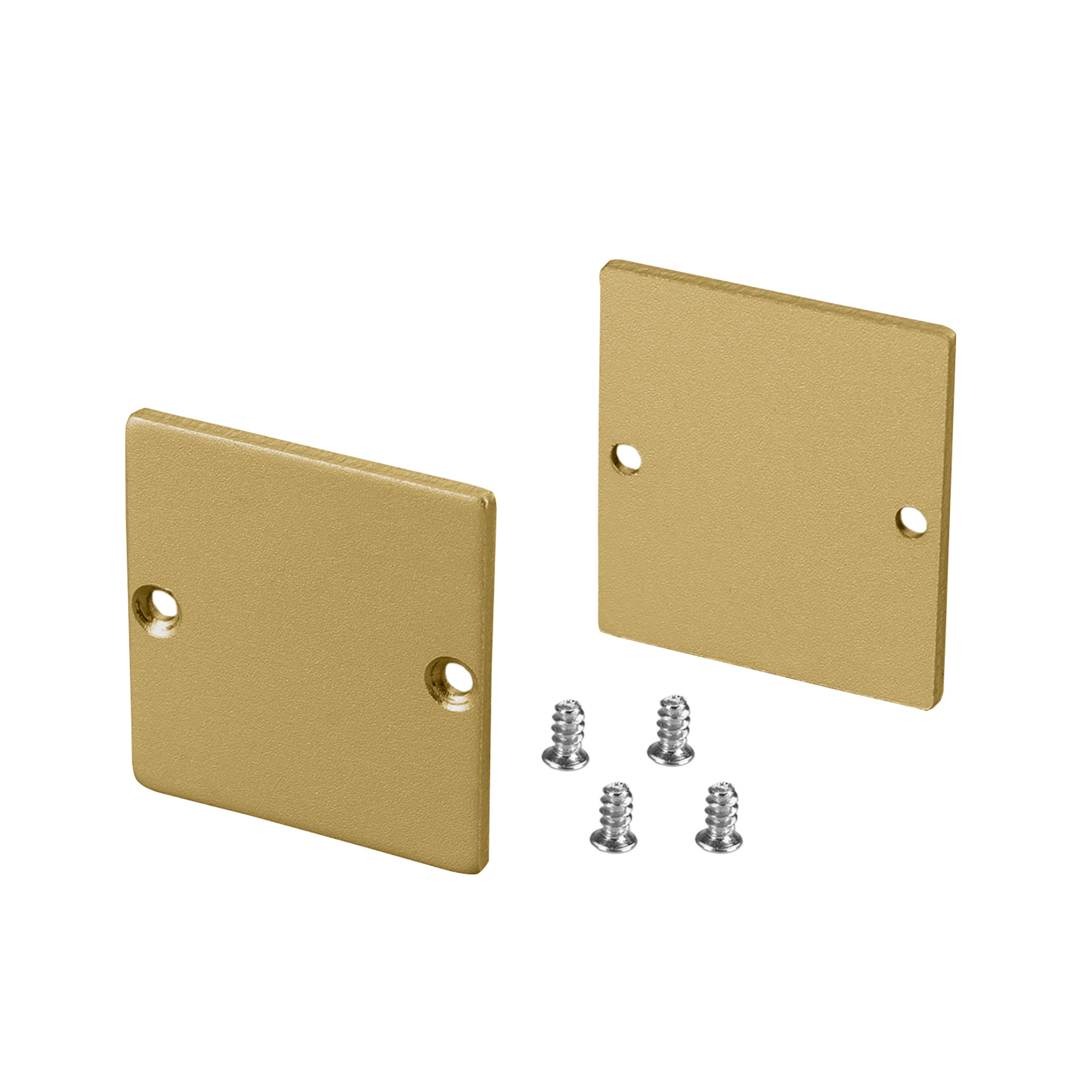 Заглушка SL-LINE-3638-LW GOLD глухая 039983 - Пара заглушек для профиля SL-LINE-3638-LW. Цвет - золотой. В комплекте 2 заглушки, 4 шурупа. Цена за 1 комплект.