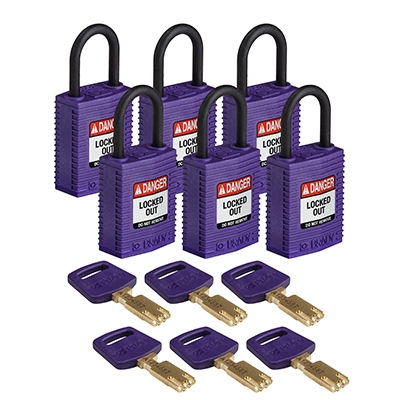 gws150213 - Замки SafeKey нейлоновые компактные, нейлоновая дужка, высота дужки – 25 мм, диаметр дужки – 4.3 мм, нейлоновый корпус, размеры корпуса – 43х32х19 мм, цвет – фиолетовый, 6 шт/упак