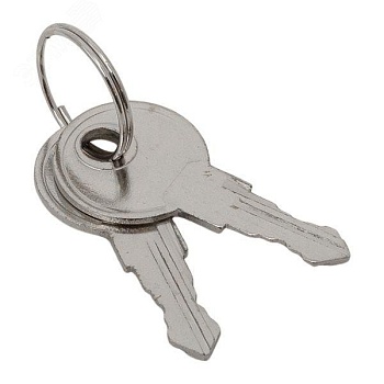 Ключ для замка (арт. 18-20/38-ip31) PROxima key-1