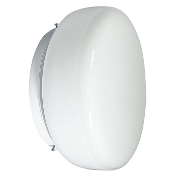 Светильник НПО 22-100-230 "Таблетка" d260 1х100Вт E27 IP20 опал 1005150221