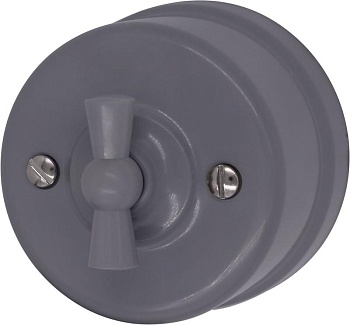 Выключатель 1-кл. пластик титан B1-200-26