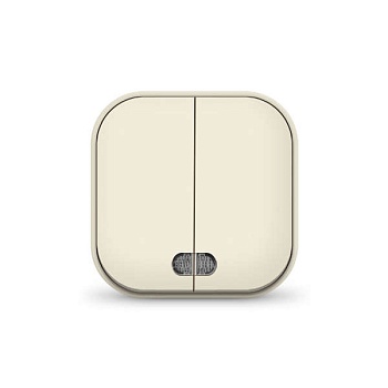 Выключатель 2-кл. 1п ОП 10А IP20 с подсветкой сл. кость 1426