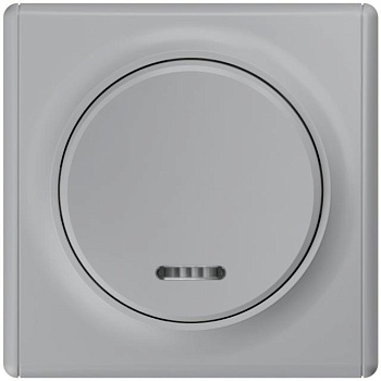 Выключатель 1-кл. СП Florence 10А IP20 с подсветкой механизм сер. (1E31701302) 2172847