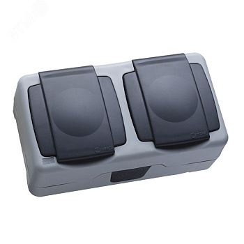 Розетка 2-м ОП 16А IP55 сер. 36064206