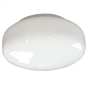 Светильник НПО 22-100-220 "Берет" 1х100Вт E27 IP20 опал 1005150541