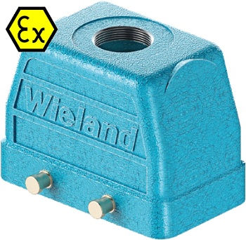 Крышка разъема Ex 70.354.1036.1 - Крышка разъема на кабель, типоразмер 10B, взрывозащищита, без уплотнителя, 1 отверстие с резьбой для кабельных вводов M25x1,5, с верхним расположением, без защелок (упоры для двух защелок), материал корпуса: цинковый спла