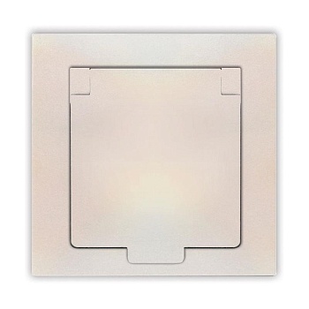 Розетка 1-м СП Афина 16А IP20 с заземл. с крышкой в сборе жемчуг A0029-OBr