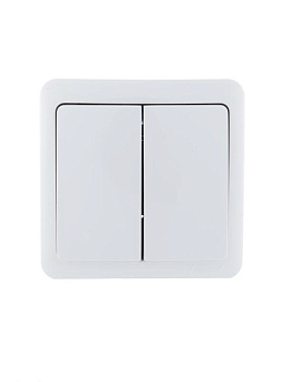 Выключатель 2-кл. 1п ОП Viola 10А IP20 бел. 751-0200-101