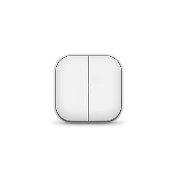 Выключатель двухклавишный серия IONICH, о/у, 10А, 220В, белый (еврослот) 1413