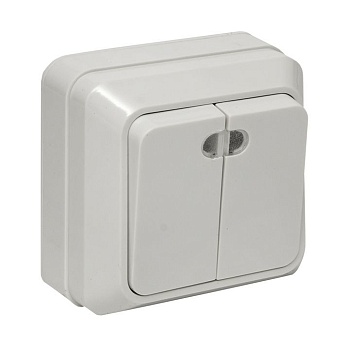 Рим Выключатель 2-клавишный с индикатором 10А белый ENV10-123-10