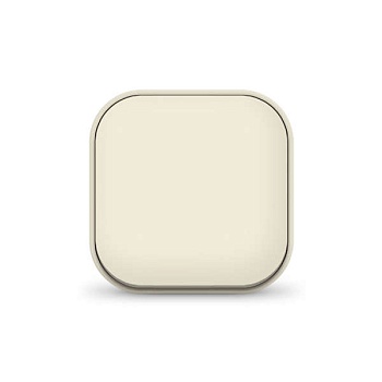 Выключатель 1-кл. 1п ОП 10А IP20 сл. кость 1423