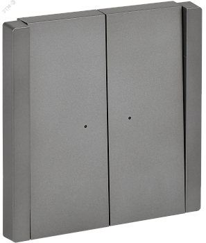 FORTE&PIANO Выключатель 2-клавишный проходной с индикацией 10А FP508 сталь IEK FP-V22-1-10-1-K46