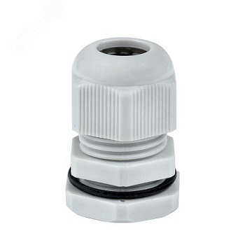 Сальник PG11 IP54 plc-pg-11