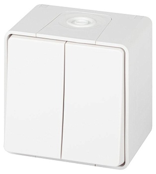 Выключатель Эксперт 11-1504-01 двойн. IP55 10АХ-250В ОУ бел. Эра Б0063257