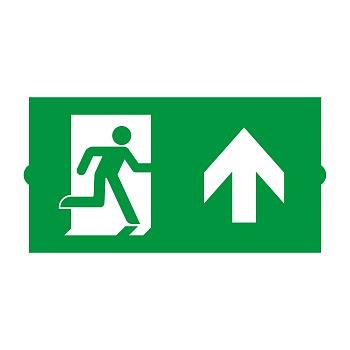 Пиктограмма EMGP-DIRECT-UP (Вверх) 046669 - Пиктограмма "Стрелка вверх" для аварийных панелей серии EMG-DIRECT.  Нужно 2 пиктограммы для полной комплектации.