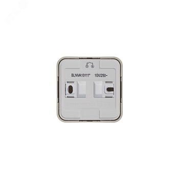 Выключатель 1-кл. ОП Blanca 10А IP20 (сх. 1) 250В с подсветкой с изолир. пластиной беж. SE BLNVA101117