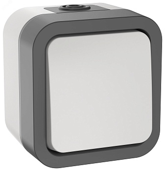 Выключатель кнопочный 1-кл. ОП TORS 10А IP55 TS210 бел. TS-V14-0-10-55-K41