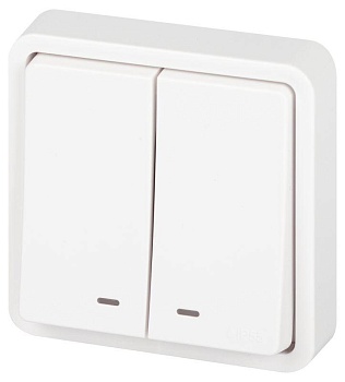 Выключатель Эксперт 11-1525-01 двойн. с подсветкой IP55 10АХ-250В СУ бел. Эра Б0063304