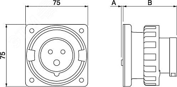 Вилка панельная прямая IP67 16А 3P+E+N 400В DIS2481697