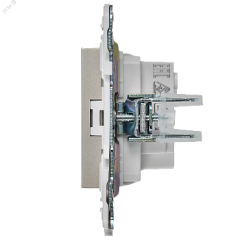 SKANDY Розетка без заземления без защитных шторок 10А SK-R02Sh шампань IEK SK-R10-10-K37